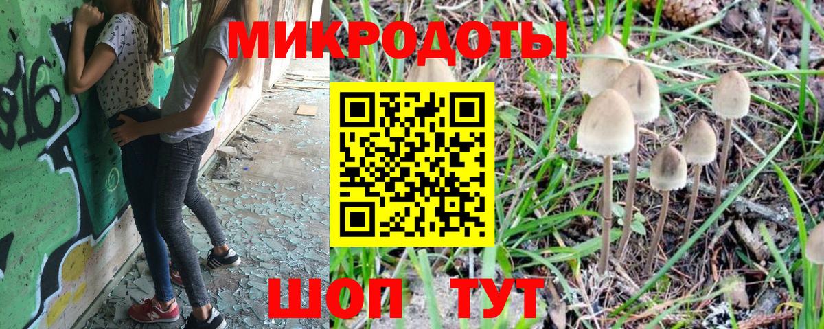 Псилоцибиновые грибы Psilocybine cubensis Карпинск